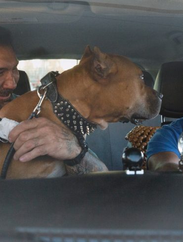 Dave Bautista as Vic, Pico the Pibble, and Kumail Nanjiani as Stu in “Stuber”.